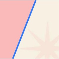AuthentiConnexion logo - Similar company to Codemida