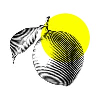 Limun Design logo - Similar company to Studio360.Si