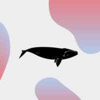 Blackwhale Agency logo - Similar company to Pipolo Solutions - Marketing Agency