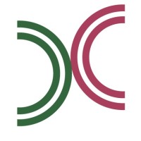 Patona Networks logo - Similar company to Nestor Doctoral Network