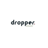 Dropper.fr logo - Similar company to Another Swing