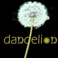 Dandelion Mindful Marketing logo - Similar company to Ace Content Group