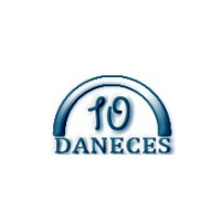 10Daneces logo - Similar company to A2Minfotech