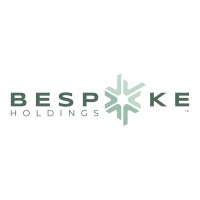 Bespoke Holdings Company logo - Similar company to Chestnut Funds
