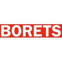 Borets International logo - Similar company to Artificial Lift Solutions Pte Ltd