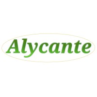 Alycante logo - Similar company to Anuhman Groupe Talhent