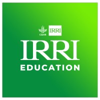 IRRI Education logo - Similar company to University Of The Philippines Open University