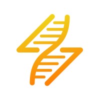 Birkeland logo - Similar company to Züs
