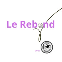 Programme Le Rebond logo - Similar company to Le Grand Rebond