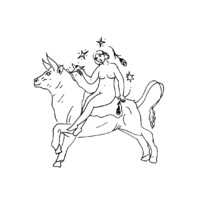 Toro Blanco
