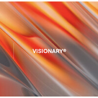 VisionaryAthletes logo - Similar company to Lnup Inc.