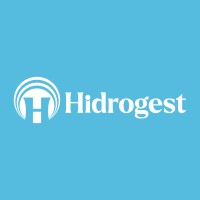 HIDROGEST ENGENHARIA E CONSULTORIA logo - Similar company to Reconverte Planejamento E Projetos