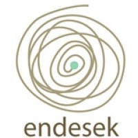 ENDESEK LIMITED