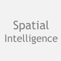 Spatial Intelligence LLC logo - Similar company to World Lab Technologies, Inc.