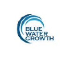 Blue Water Growth LLC logo - Similar company to Mesh01