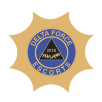 Delta Force Escorts logo - Similar company to Afrisec Group