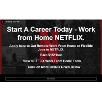 Work from Home Netflix logo - Similar company to Chat Support Job Work From Home