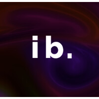iBridge Digital, Inc. logo - Similar company to Ibridge Digital