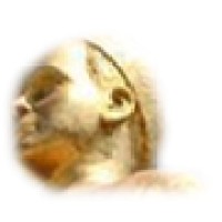 Tunisian Institute for Peace and Conflict Studies (TIPCS) logo - Similar company to Carthagina