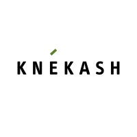 knekash logo - Similar company to Vetedy Official