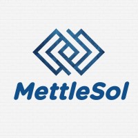 MettleSol logo - Similar company to Techorphic