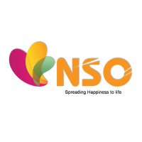 NSO SERVICES PVT LTD logo - Similar company to Evenflow Solutions Llc