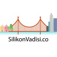 Silikonvadisi.co logo - Similar company to Silikon Vadisi