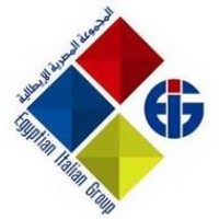 EIG For Contracting - Egyptian Italian Group For Contracting logo - Similar company to Vision Construction Sae