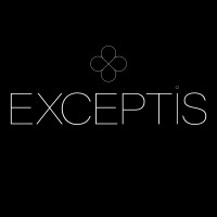 EXCEPTIS INTERIOR DESIGN logo - Similar company to Chschieber Interior Design Gmbh