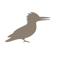 Kingfisher logo - Similar company to Tst Gmbh