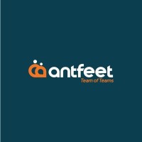 Ant feet logo - Similar company to Webvator