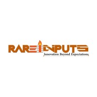 Rareinputs - An Innovative Digital Agency India