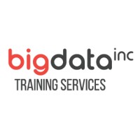 Big Data Inc. logo - Similar company to Lupoai