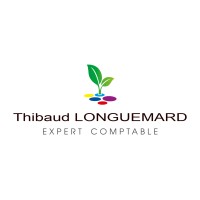 Cab - TL ( Cabinet Thibaud LONGUEMARD ) logo - Similar company to Derancourt