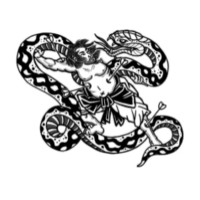 Veteran Bushido Brotherhood logo - Similar company to Krausko Tactical