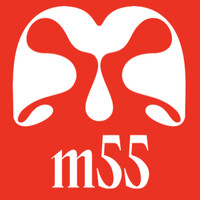 M55 Capital logo - Similar company to Parallel Ventures