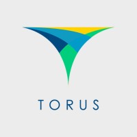 Torus Innovations logo - Similar company to Global Software Solutions