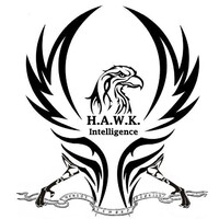 HAWK INTELLIGENCE LLC logo - Similar company to Riseup Fund