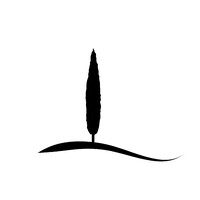 Palmiotto Consulting LLC logo - Similar company to Smyrna Labs