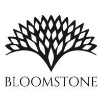 Bloomstone Real Estate logo - Similar company to Invedi Group