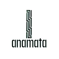 Anamata logo - Similar company to Anamata