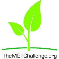 The Management Challenge