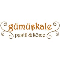 Gümüşkale Pestil Ve Köme logo - Similar company to Kral Pestil Köme
