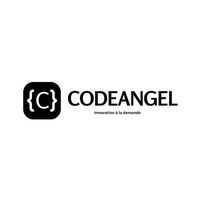 CodeANGEL logo - Similar company to Samina