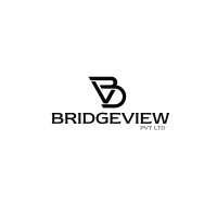 BridgeView logo - Similar company to Clicktechindia