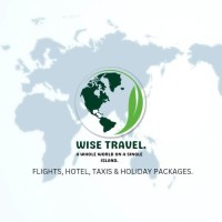 WISE TRAVELS logo - Similar company to Eurotech- We Build The Future With Tech