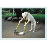 Carolina Pooper Scoopers logo - Similar company to Rallie Pickleball