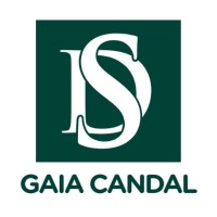 Decisões & Soluções - Gaia Candal logo - Similar company to Epff-Intep