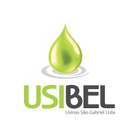 Usibel - Usinas São Gabriel LTDA logo - Similar company to Uhe Engenharia E Projetos