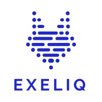 ExeliQ logo - Similar company to Essev